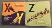 ABC Birds (American Museum of Natural History) (8)