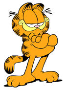 Garfield the Fat Cat