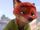 Nick Wilde