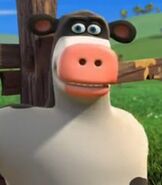 Otis The Cow As Devon