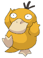 Psyduck rosemaryhillspokemonadventures