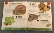 Snake Dictionary (7)