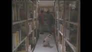 Wishbone at the Library with his owner Joe and His Friends for a project related to the history of Rock and Roll