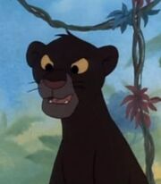 Young Bagheera1