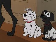 101-dalmatians-disneyscreencaps.com-9034