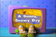 A Sunny, Snowy Day (November 5, 1999)