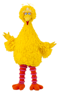 Big Bird as Dim