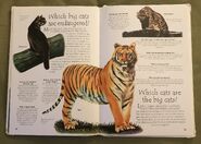Endangered Animals (Over 100 Questions and Answers to Things You Want to Know) (11)