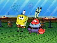 Krabs look at squidward