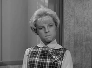 Kst3.jpg (255 KB) Penny Woods