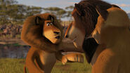 Madagascar2-disneyscreencaps.com-3209