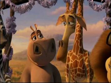 Melman and Gloria
