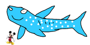 Whale Shark (Rhincodon typus)