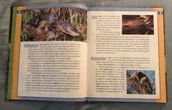 List of Species in Scholastic Encyclopedia of Animals | The Parody Wiki | Fandom List of Species in Scholastic Encyclopedia of Animals | The Parody Wiki | Fandom
