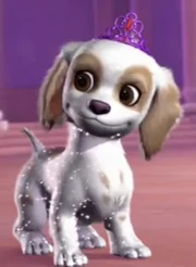 Sparkles the Cocker Spaniel