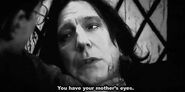 You have your mother's eyes. Snape