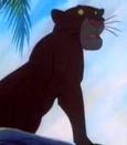 Bagheera in Jungle Cubs.jpg (12 KB) Bagheera in Jungle Cubs