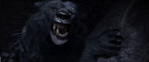 Bear dead eye.jpg