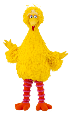 Big bird sesame street