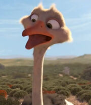 Bradley the Ostrich