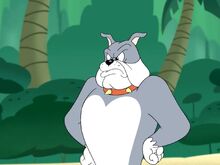 Spike-1.jpg