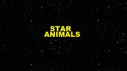 Star Animals