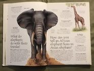 54F9F892-7CB9-4B49-843D-682F5D0F2411.jpeg (1.72 MB)