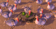 The Dodos as Barrel of Monkeys