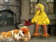 Episode 2224- Elmo and Big Bird play with a sleeping Barkley