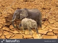 Global Warming Elephants.jpg (412 KB)