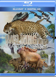 WWAMZNA Poster.png