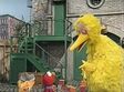 Big Bird feels sad and angry at Elmo and Zoe when they accidentally knocked over his block tower
