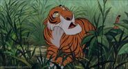 Shere Khan the Tiger