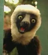 Zoboomafoo as Isaiah