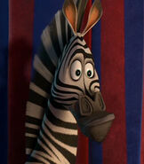 And Marty The Zebra As Tuck And Roll