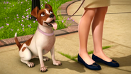 Tootsie-Bella in Doggoneit