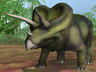 Triceratops horridus