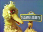 0847 Sesame sign