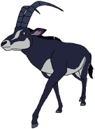 Joey as a Sable Antelope