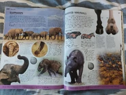 Animal (DK Online) (132).jpg (1.26 MB)