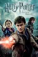 Harry Potter and the Deathly Hallows Part 2 (July 15, 2011)