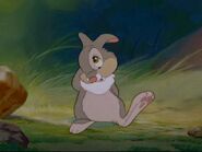 Thumper as Chuck