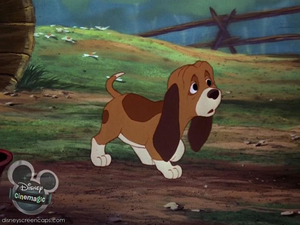 Young Cooper.png
