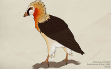 106 avisaurus archibaldi by green mamba-d5xg75w.png