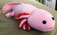 Axie the Axolotl