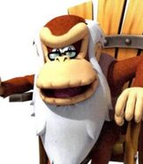Cranky Kong in Donkey Kong Country Returns