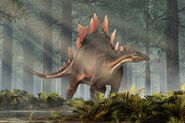 Stegosaurus (Stegosaurus stenops)