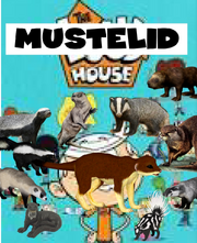 TMSTLDH Poster.png
