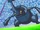 Heracross