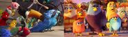 Birds (Rio and The Angry Birds Movie)